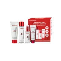 The Cica Plus Perfect 4 Set